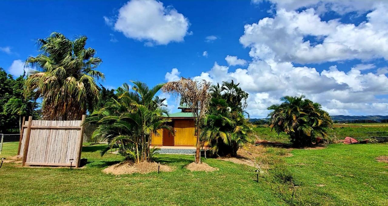 Ariami Rose Hotel Aguada Bagian luar foto