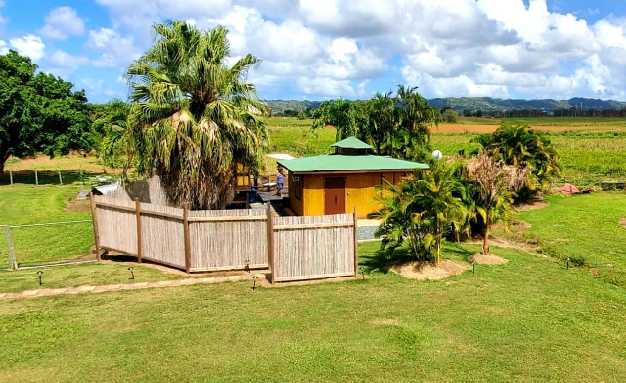 Ariami Rose Hotel Aguada Bagian luar foto